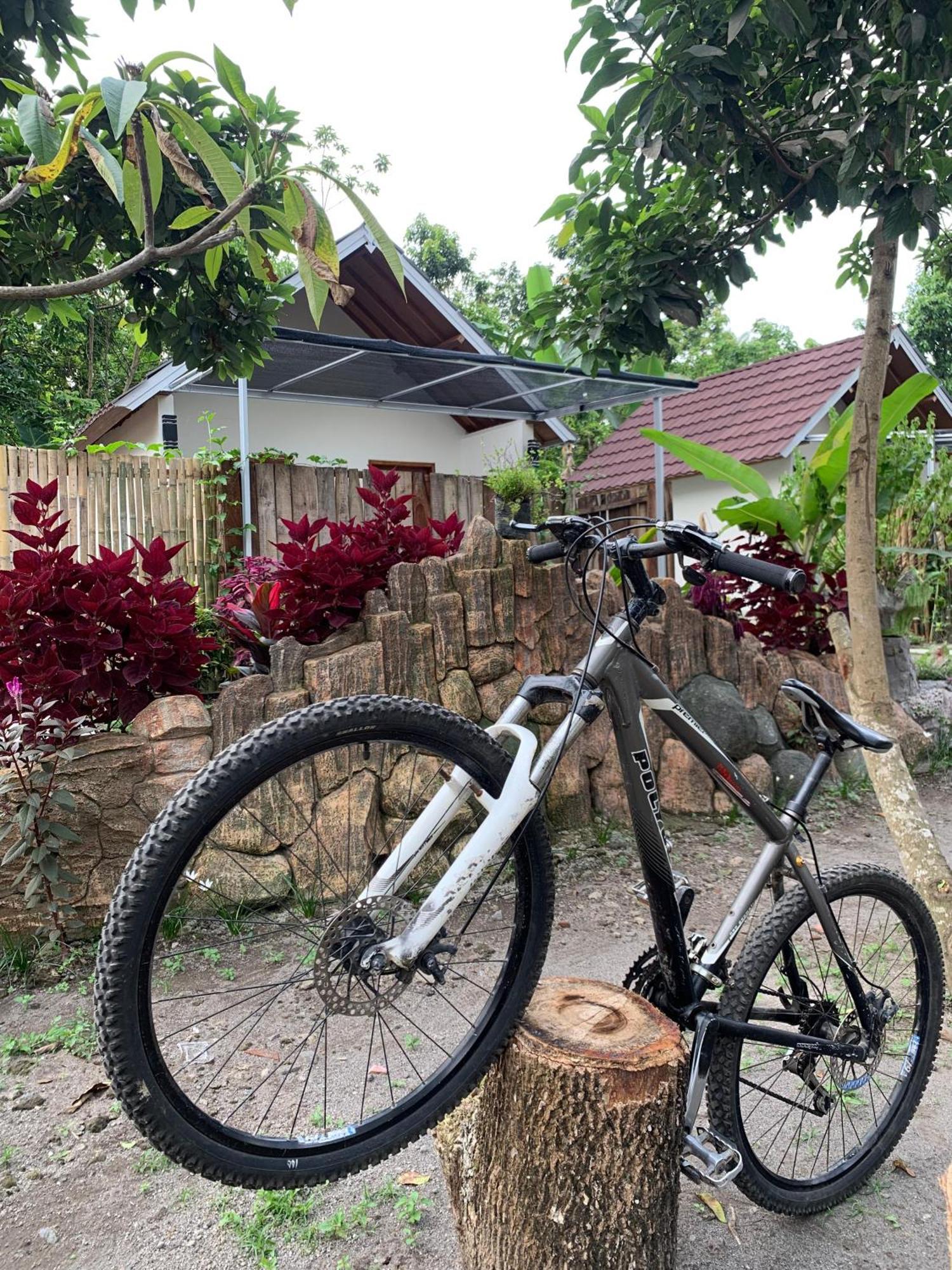 Avocado Homestay Tetebatu Exterior photo