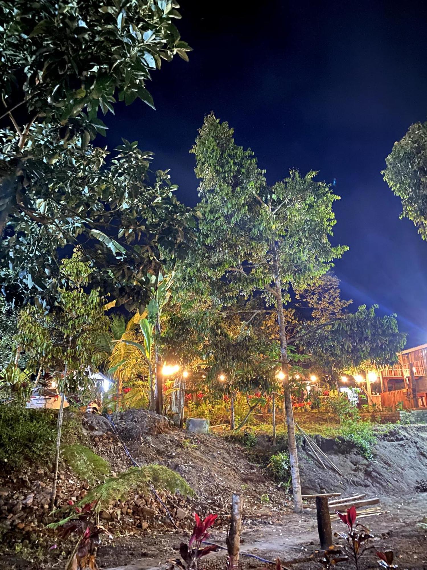 Avocado Homestay Tetebatu Exterior photo